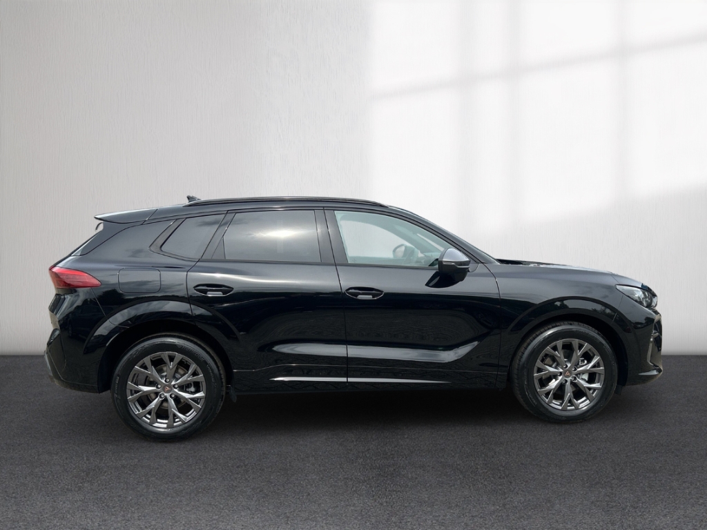 Fahrzeugabbildung CUPRA Terramar eTSI 1.5 TSI DSG AHK Winter eHK ACC SHZ