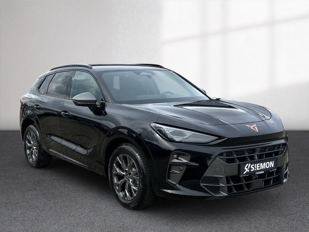 Fahrzeugabbildung CUPRA Terramar eTSI 1.5 TSI DSG AHK Winter eHK ACC SHZ