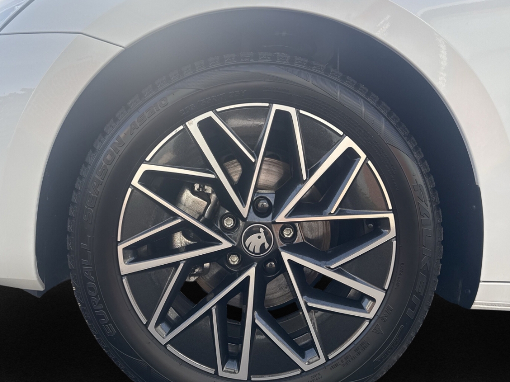 Fahrzeugabbildung SKODA Octavia Combi TDI DSG Tour AHK MatrLED Pano Navi