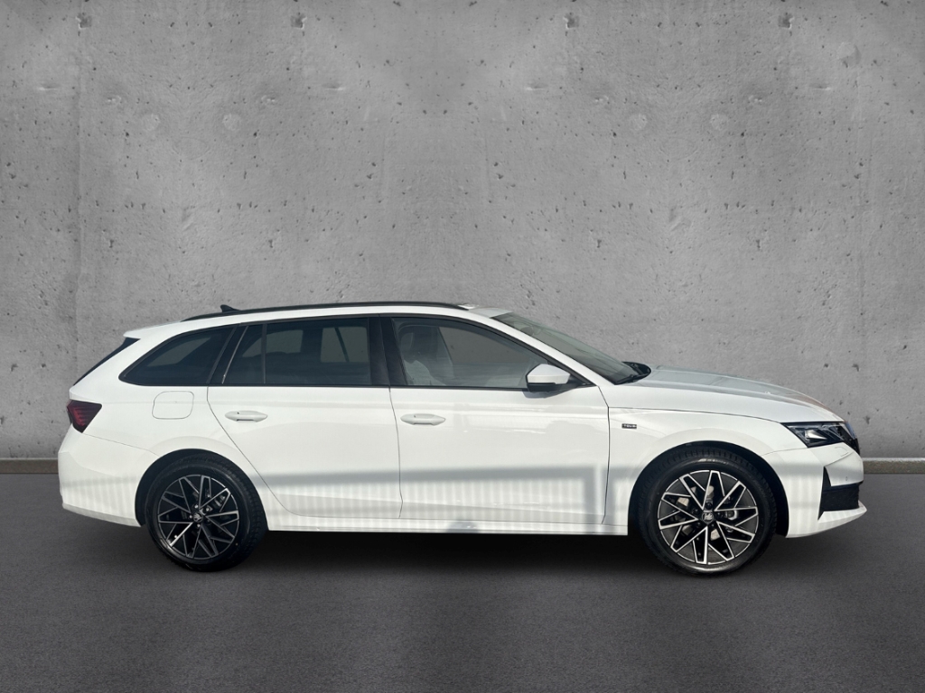 Fahrzeugabbildung SKODA Octavia Combi TDI DSG Tour AHK MatrLED Pano Navi