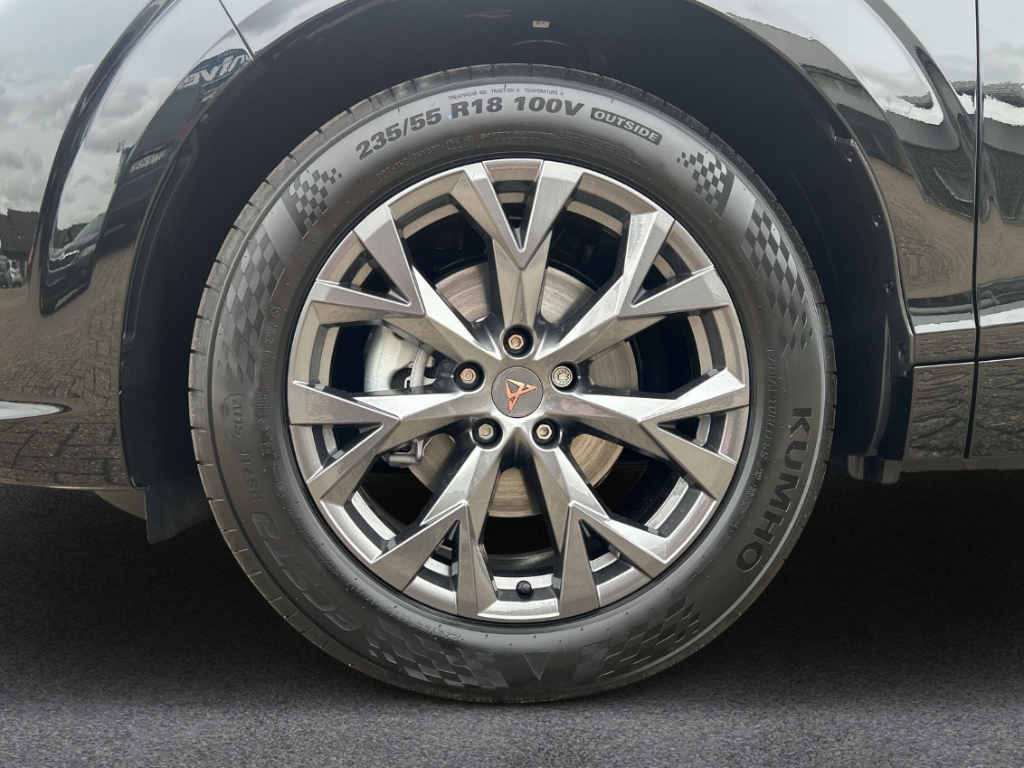 Fahrzeugabbildung CUPRA Terramar eTSI 1.5 TSI DSG AHK Winter eHK ACC SHZ