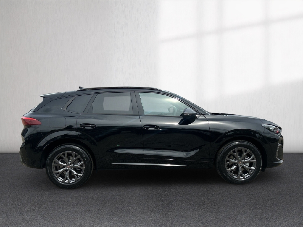 Fahrzeugabbildung CUPRA Terramar eTSI 1.5 TSI DSG AHK Winter eHK ACC SHZ