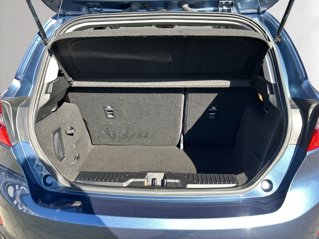 Fahrzeugabbildung Ford Fiesta 1.0 Eco Boost Active Navi Apple CarPlay Android Auto Klimaautom WLAN DAB SHZ Spurhalteass.
