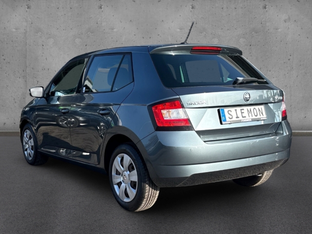Fahrzeugabbildung SKODA Fabia 1.2 TSI DSG Ambition Kima PDC SHZ GRA