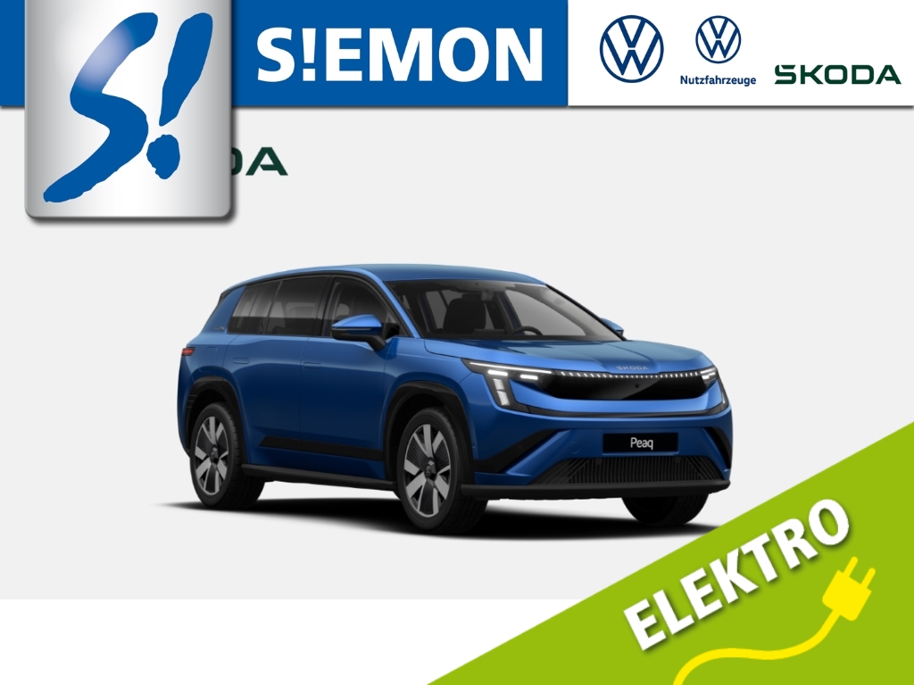 SKODA Peaq 90 Selection LED DCC LM20 AHK Maxx LEDER