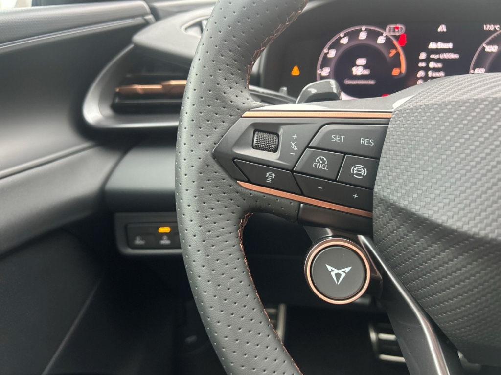 Fahrzeugabbildung CUPRA Terramar eTSI 1.5 TSI DSG AHK Winter eHK ACC SHZ