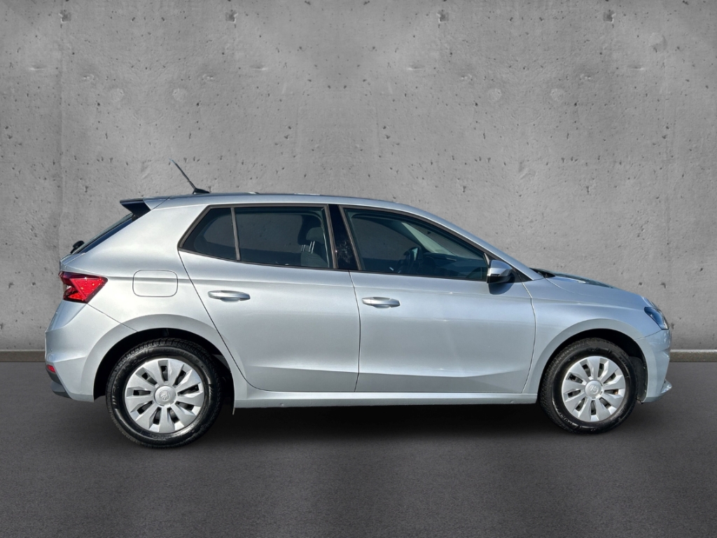 Fahrzeugabbildung SKODA Fabia 1.0 TSI SELECTION Temp PDC LED Klima SHZ Freisprech