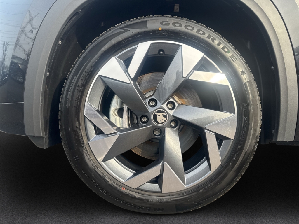 Fahrzeugabbildung SKODA Kodiaq TDI DSG Sportline Pano MatrLED Canton Kam