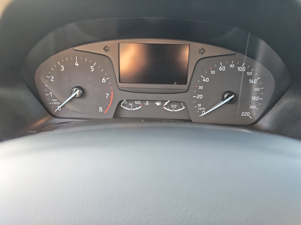 Fahrzeugabbildung Ford Fiesta 1.0 EcoBoost Titanium PDC SHZ Tempo