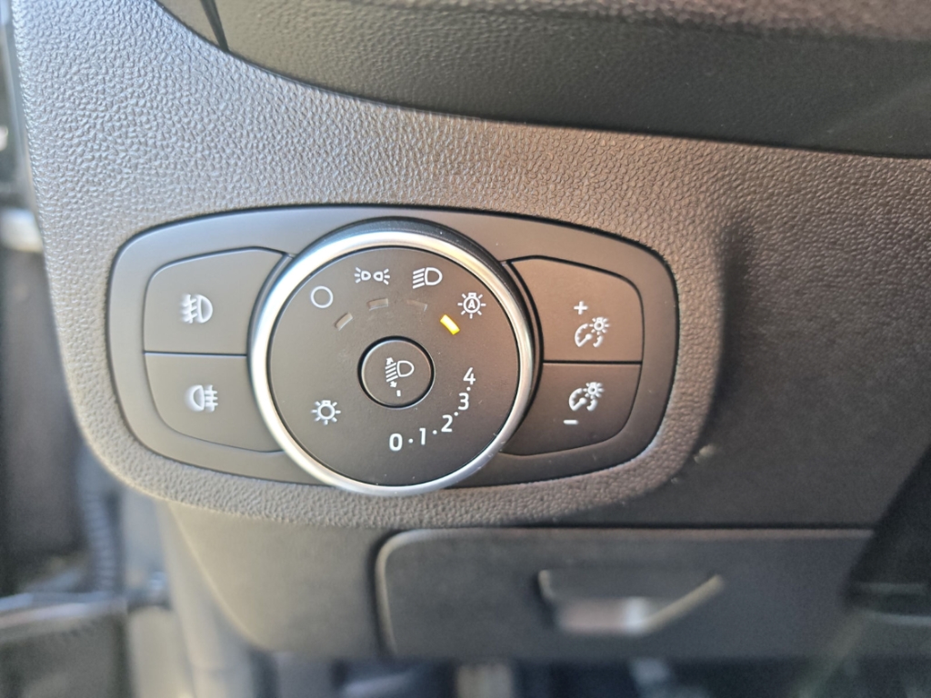 Fahrzeugabbildung Ford Fiesta 1.0 EcoBoost Titanium PDC SHZ Tempo