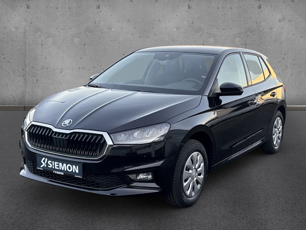 Fahrzeugabbildung SKODA Fabia Skoda SELECTION 1.0 TSI LED Klima SHZ PDC Temp