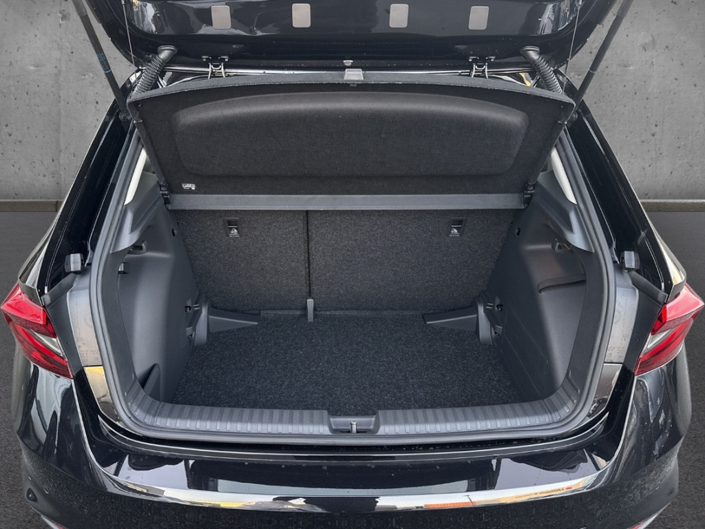 Fahrzeugabbildung SKODA Fabia Skoda SELECTION 1.0 TSI LED Klima SHZ PDC Temp