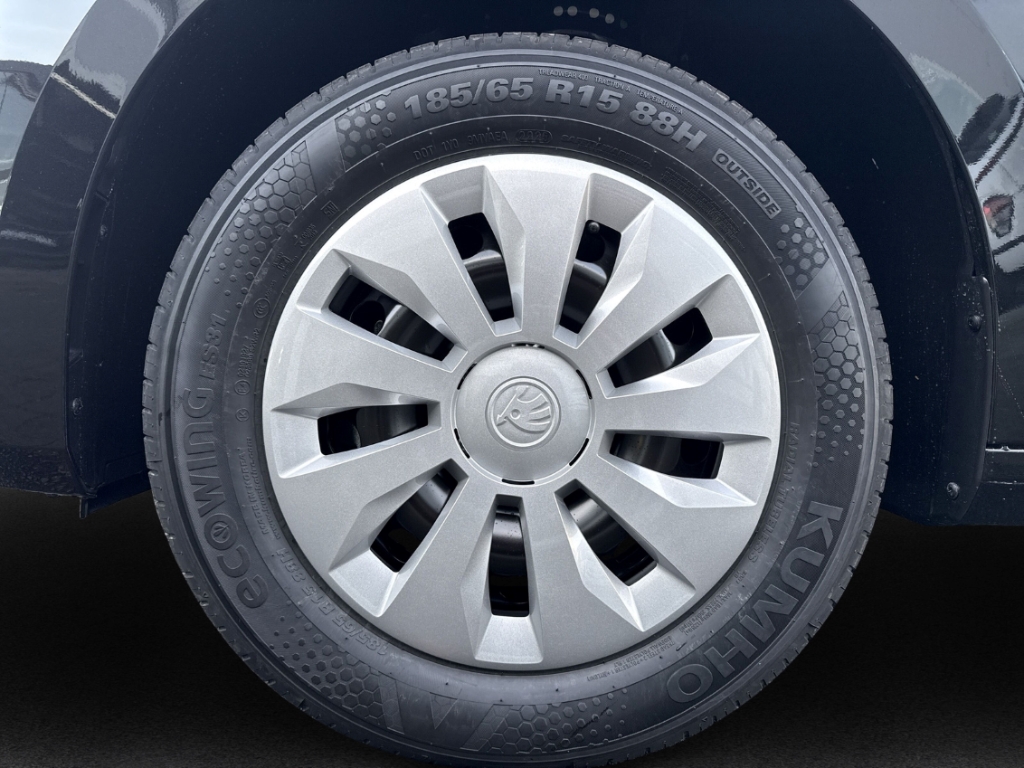 Fahrzeugabbildung SKODA Fabia Skoda SELECTION 1.0 TSI LED Klima SHZ PDC Temp