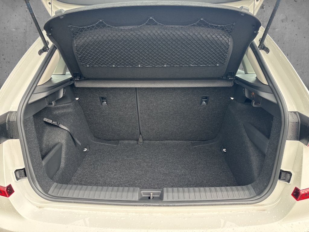 Fahrzeugabbildung SKODA Kamiq Selection 1.0 TSI Apple CarPlay LenkradHZG