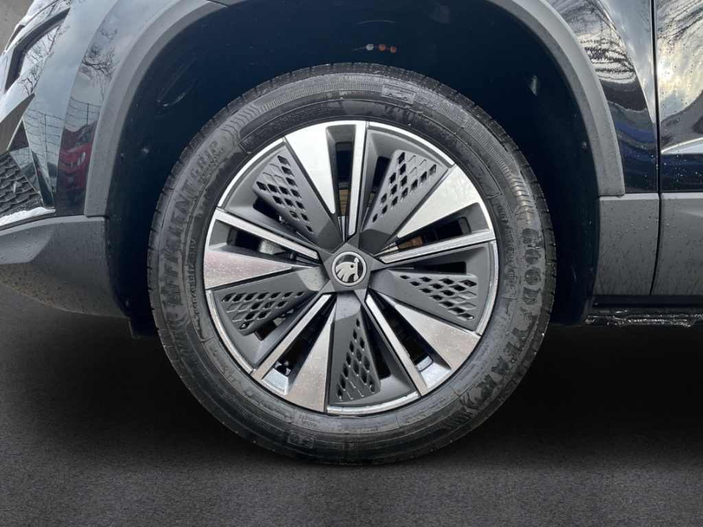 Fahrzeugabbildung SKODA Karoq 1.0 TSI TOUR Lodge Matrix AHK eHeck SHZ PDC