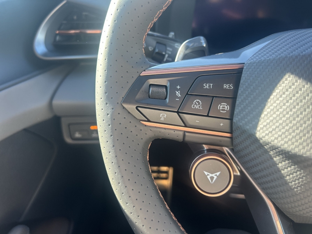 Fahrzeugabbildung CUPRA Terramar eTSI 1.5 TSI DSG AHK Winter eHK ACC SHZ
