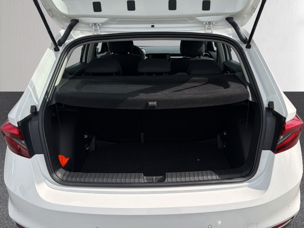 Fahrzeugabbildung SKODA Fabia 1.0 TSI Style Apple CarPlay Klimaautom