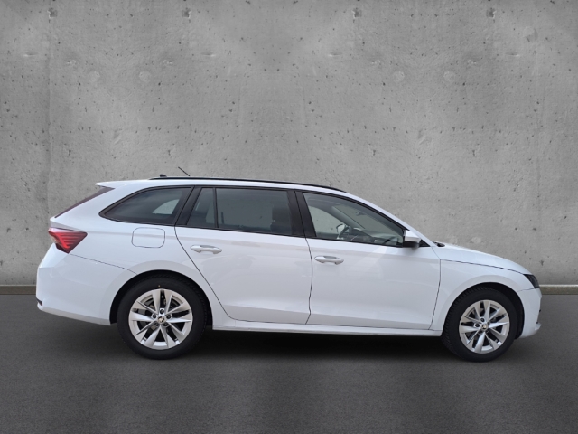 Fahrzeugabbildung SKODA Octavia Combi TDI DSG Selection SHZ LHZ PDC RKam